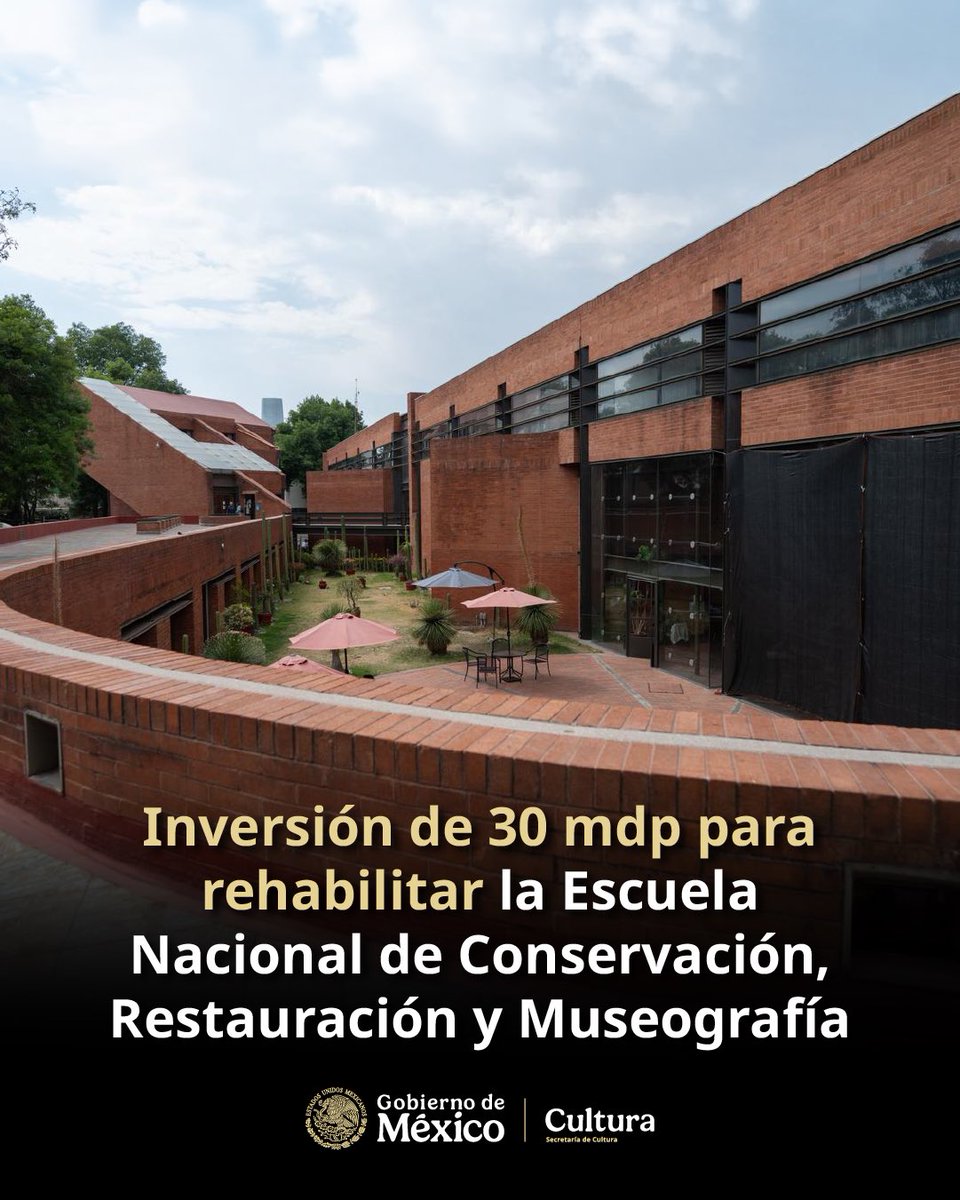 Claudia Curiel de Icaza tweet media