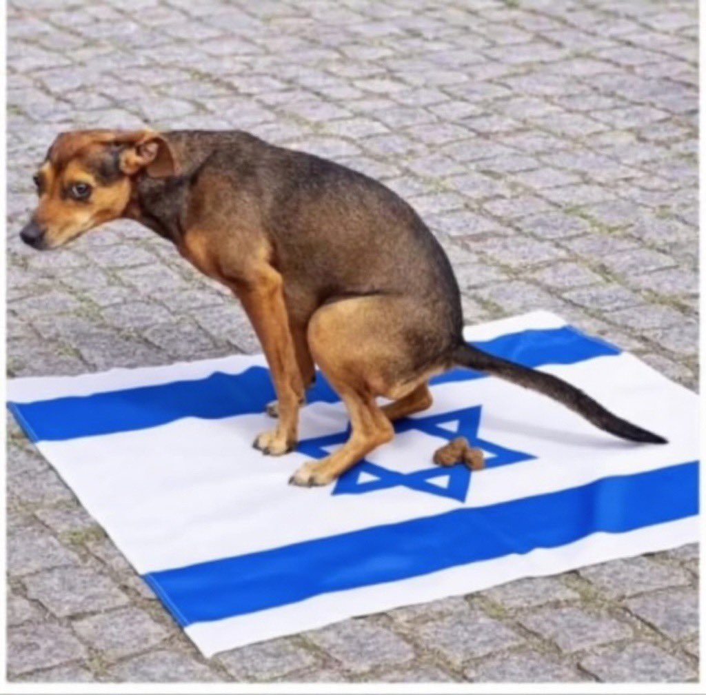 Vesaeth🦋🍄♥️ tweet media