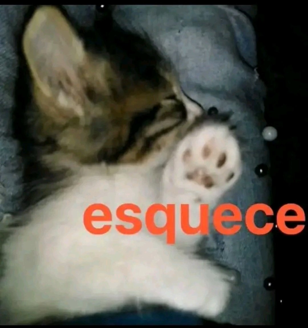 Solary X tweet media