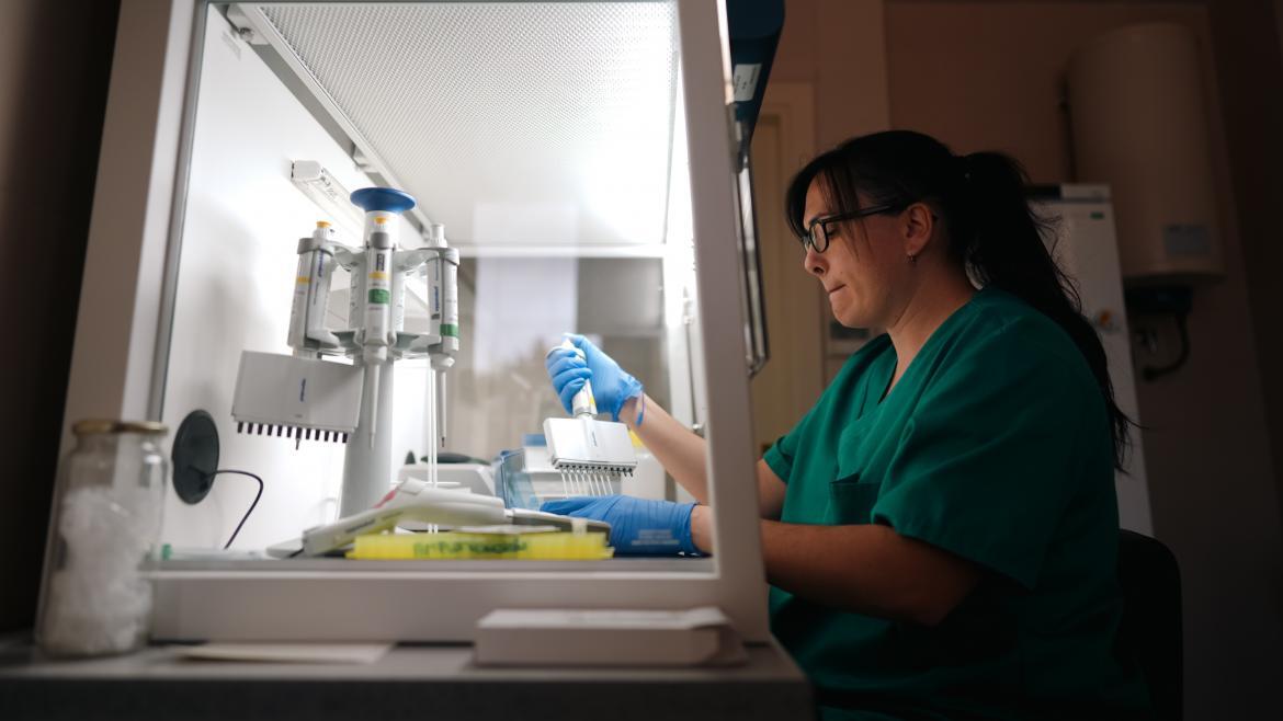 Medio Ambiente | Comunidad de Madrid tweet media