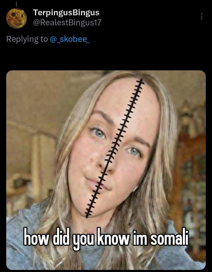 TerpingusBingus tweet media