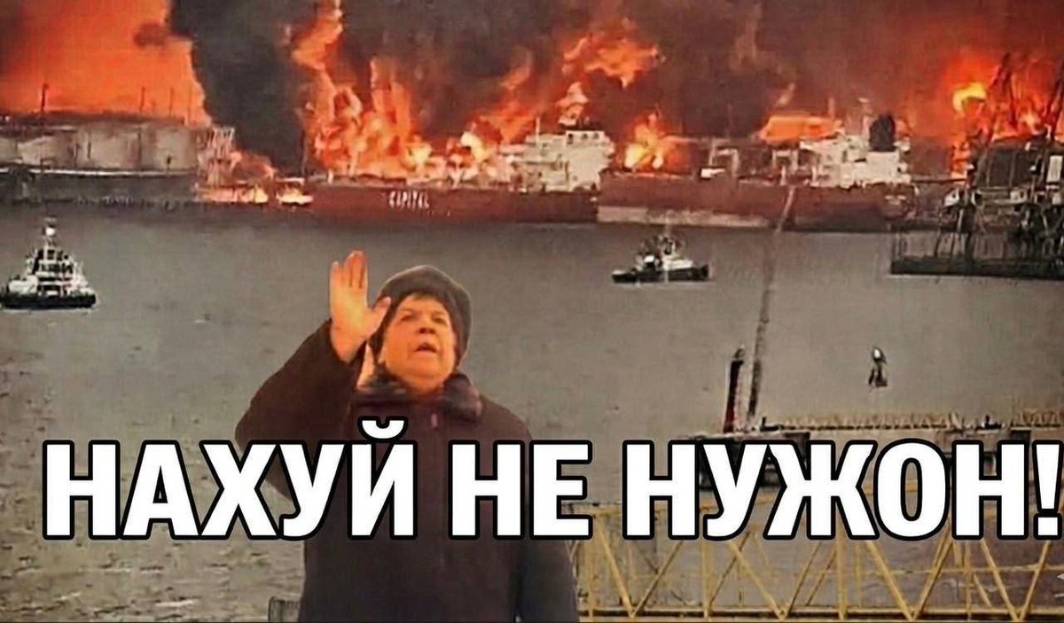 Баба і кіт tweet media