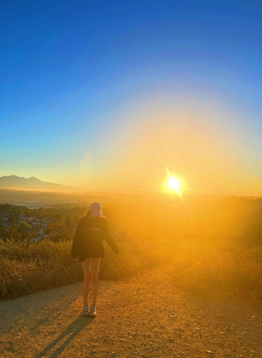 Melissa Chessher tweet media