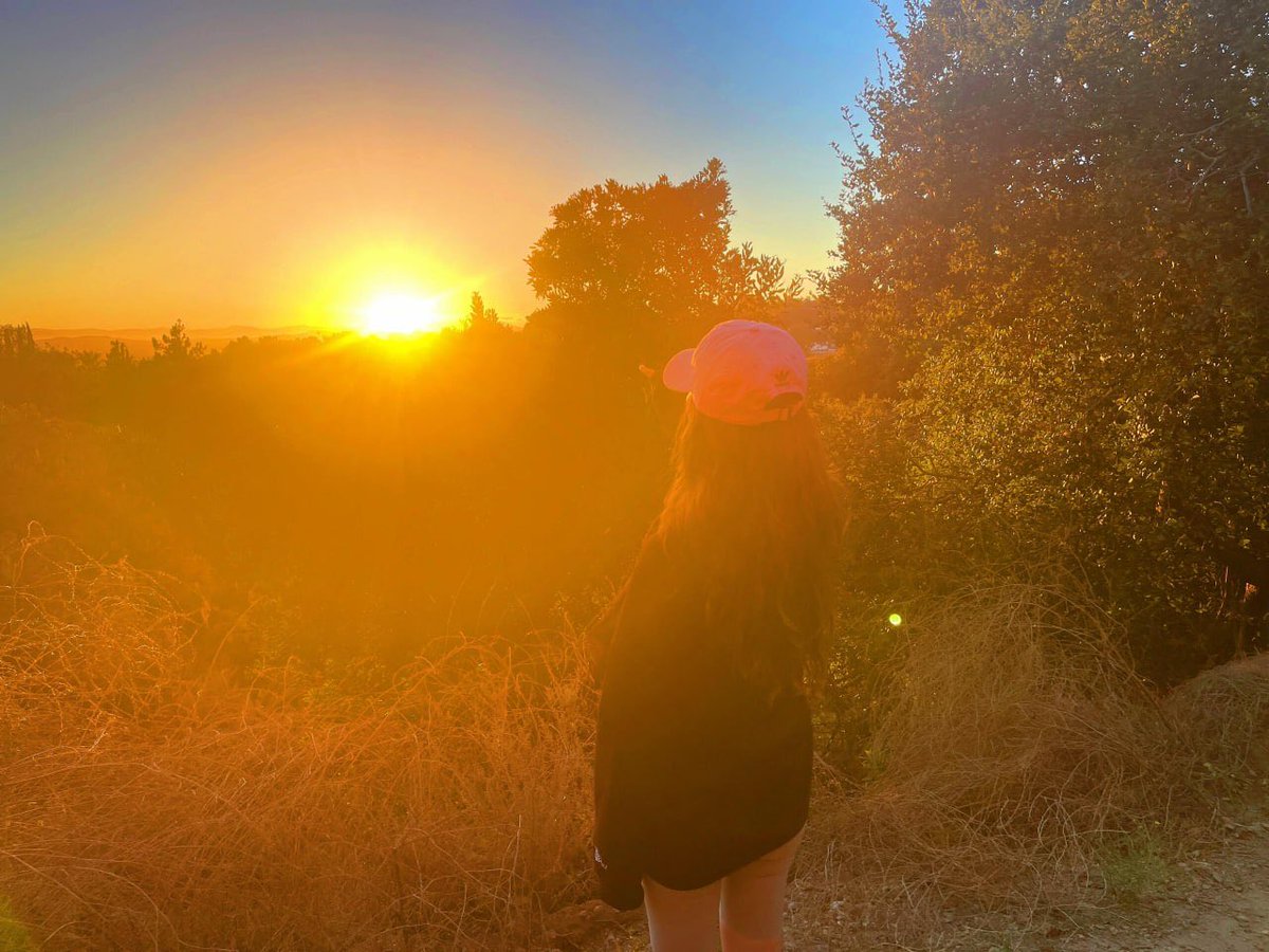 Melissa Chessher tweet media