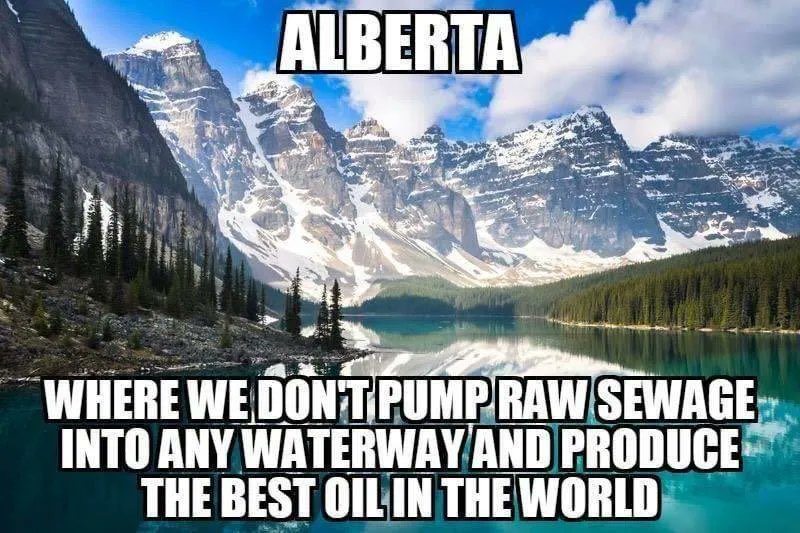 Canary in the Gold Mine tweet media