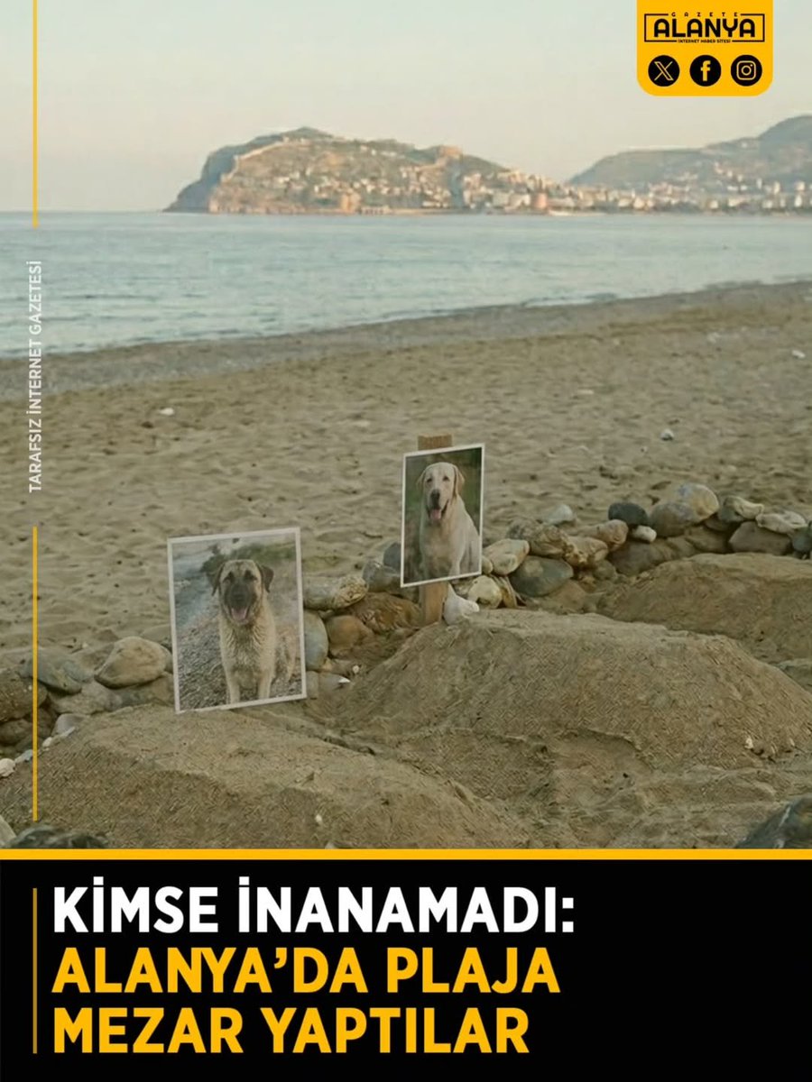 Güvenli Sokaklar tweet media