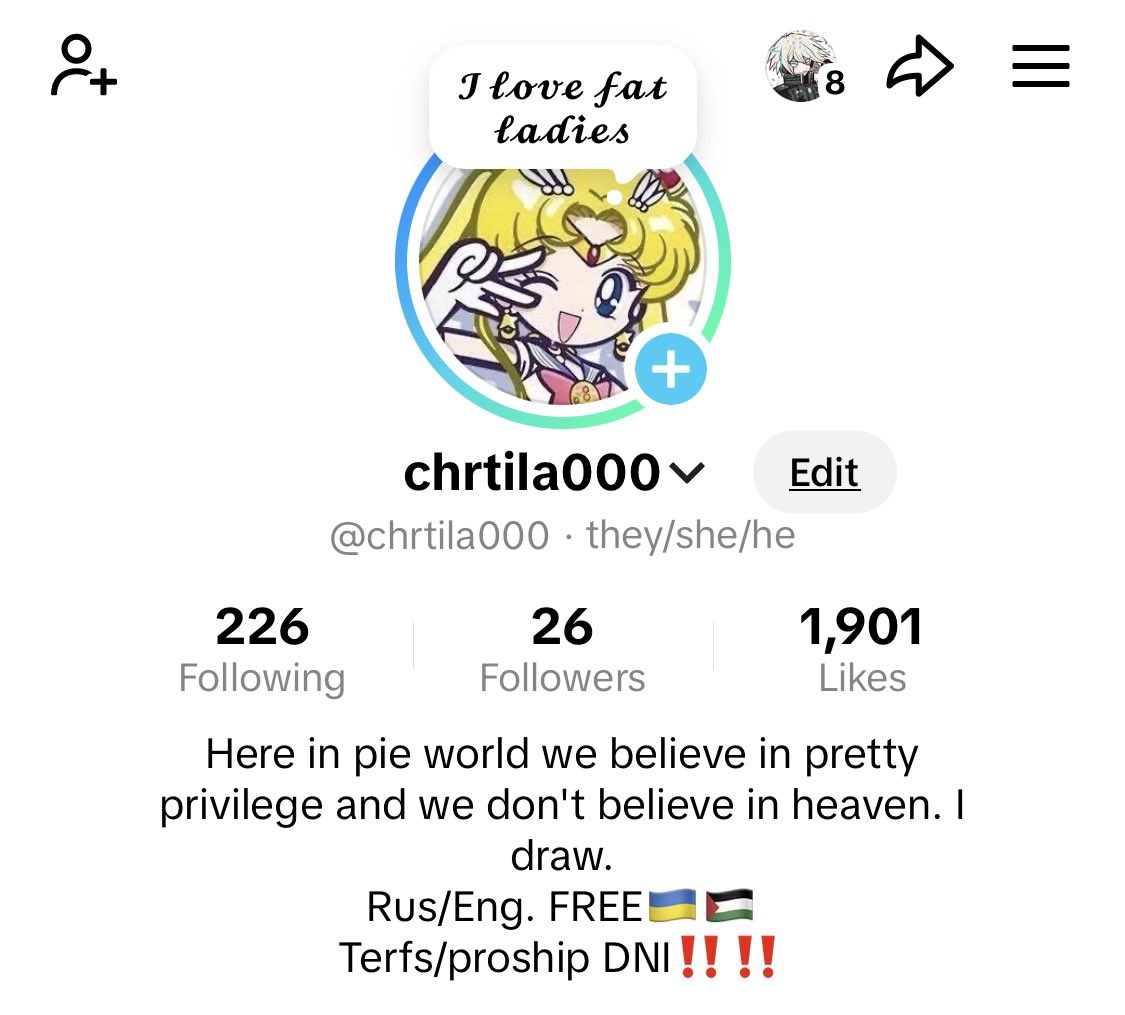 chertila 𓆝.°• 🌻🍉 tweet media