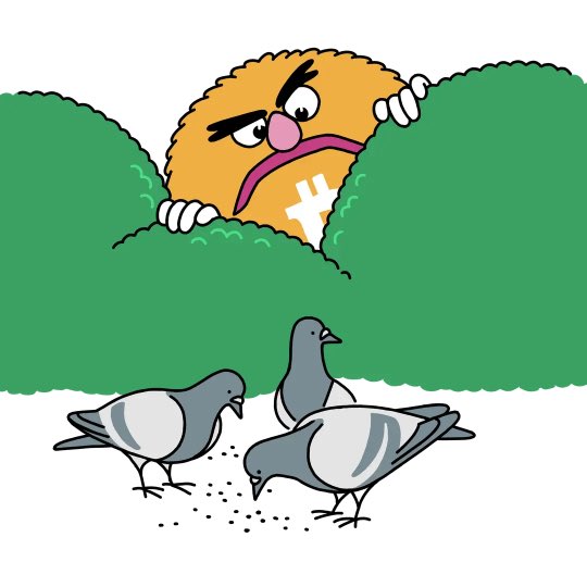 Xen0B tweet media