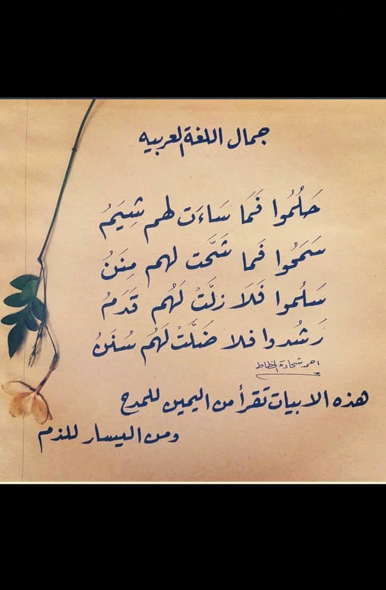 MajidAAZ's tweet photo. عن جمال اللغة العربية https://t.co/c0pKKio0T1