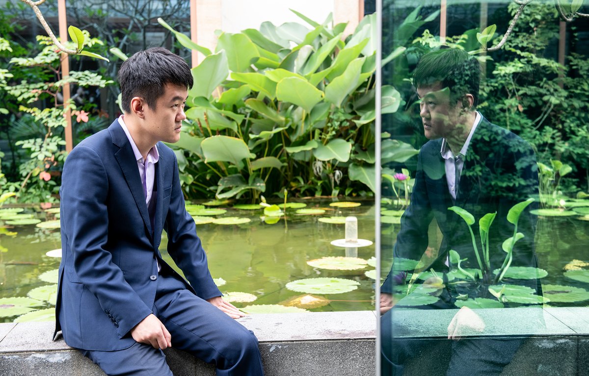 David Llada ♞ tweet media