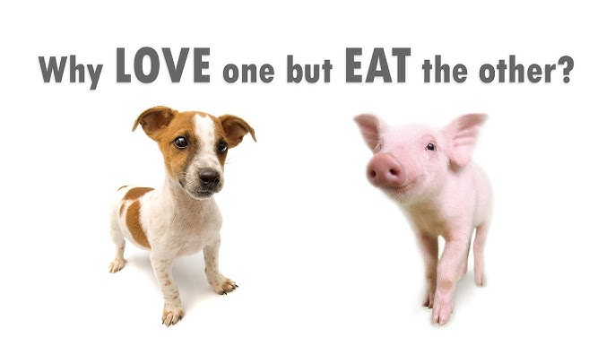 Squatch ya gonna do? tweet media