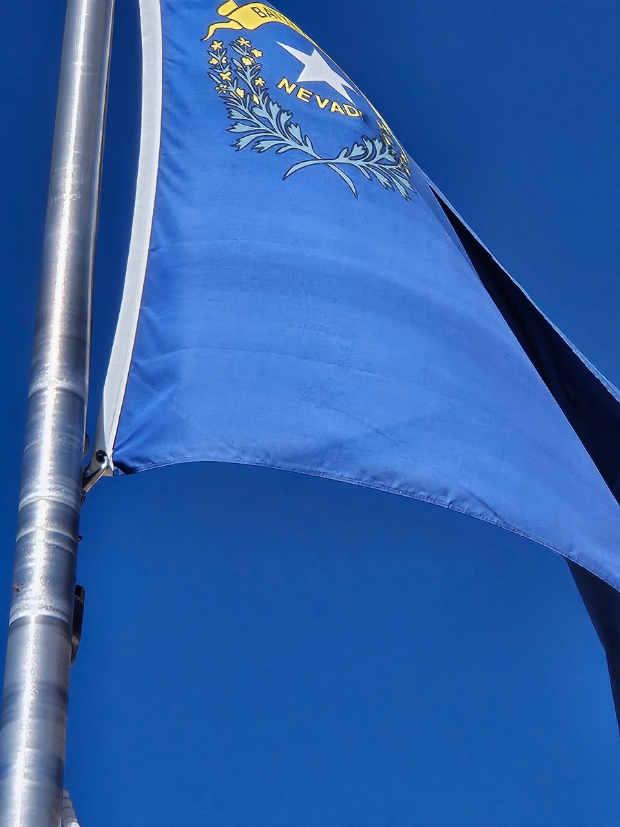 Nancy - 🐐 🏆 🐬⬆️ tweet media