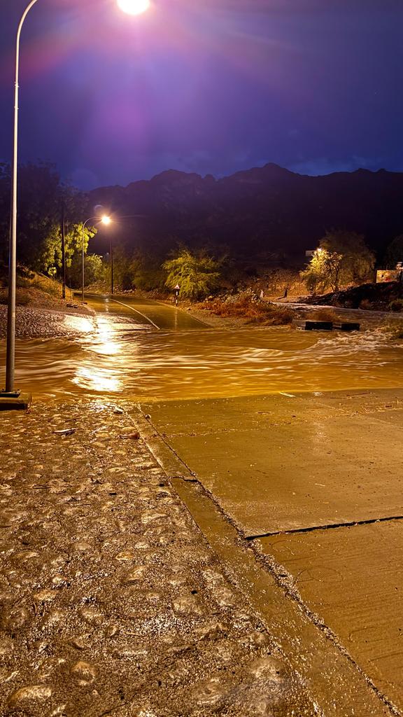 الهادئه tweet media