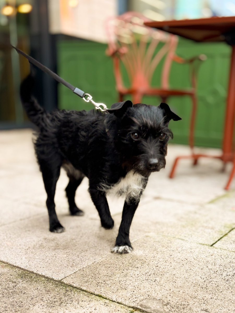 The Springs, Leeds tweet media