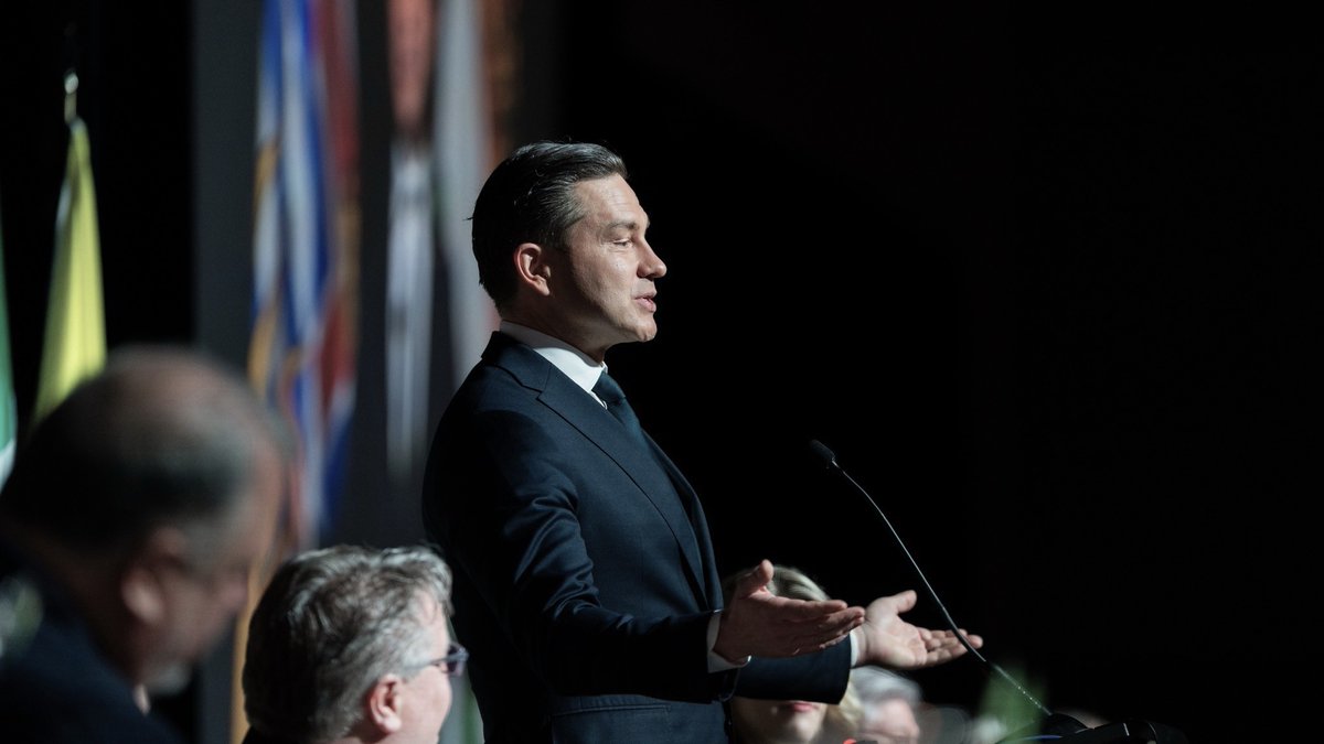 Fun Tom 🇨🇦 💂 tweet media