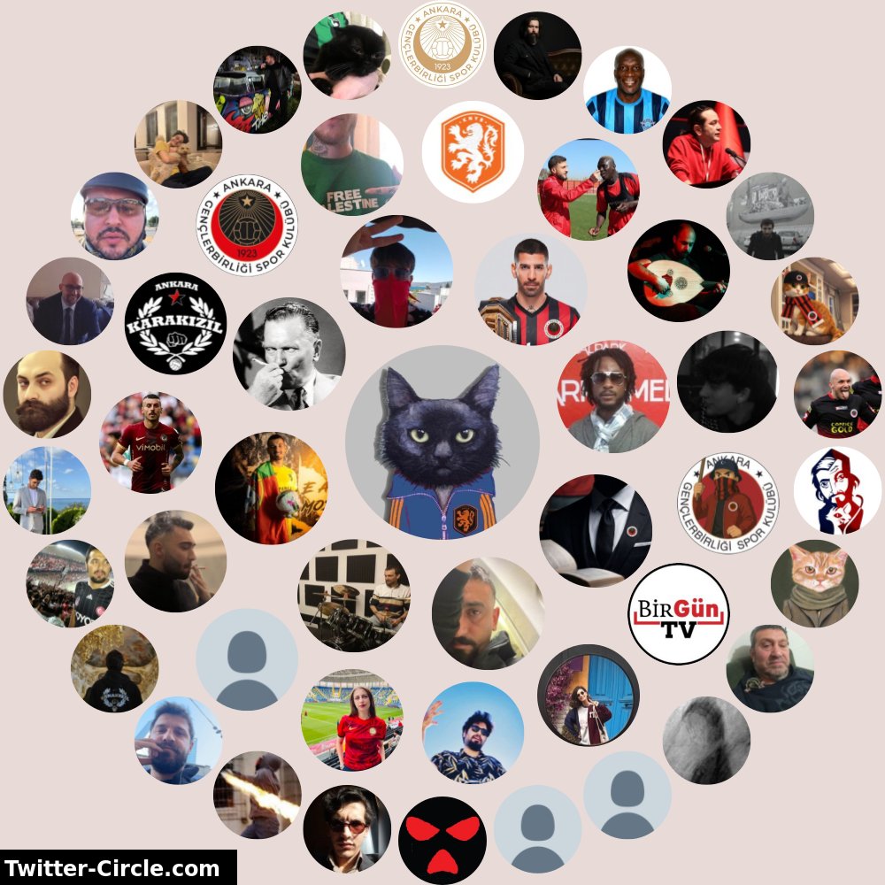 Porcupinen 🇦🇴 tweet media