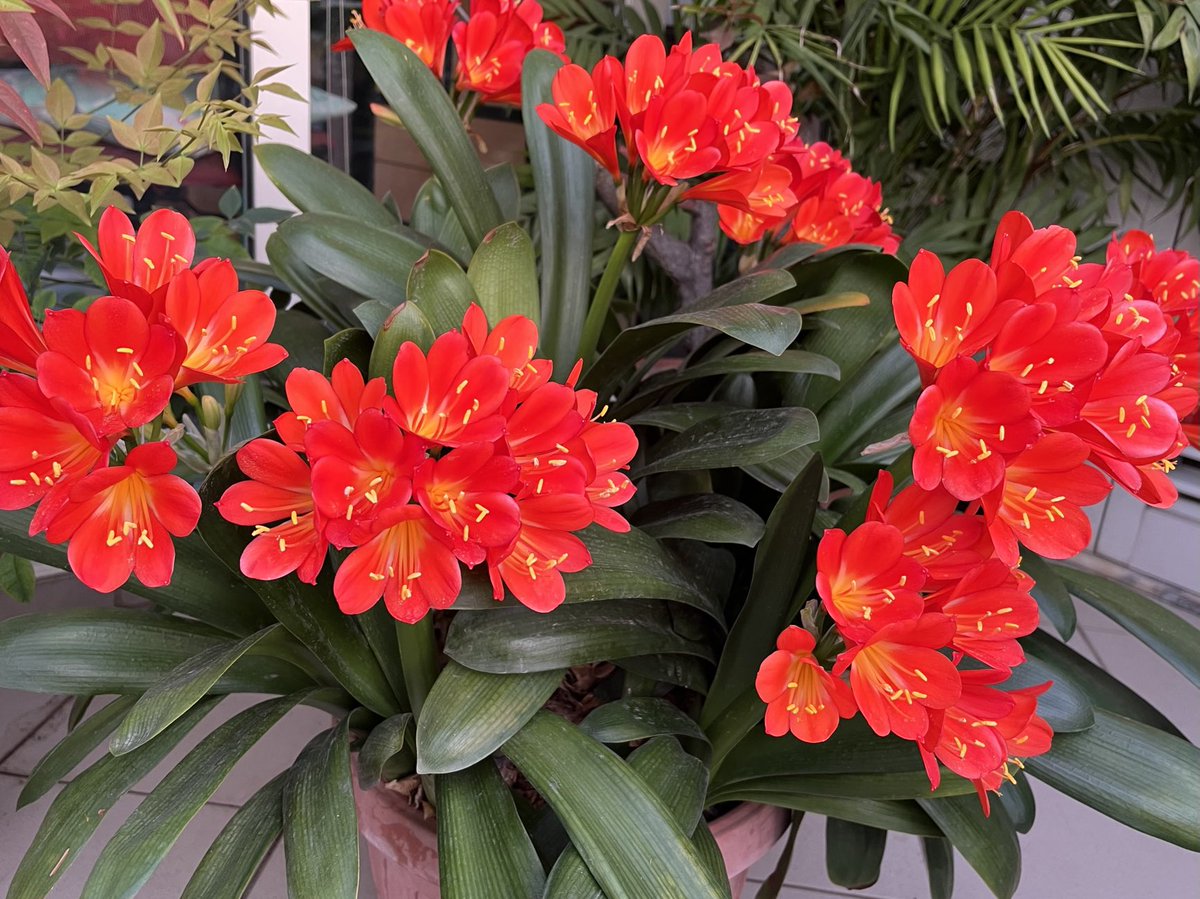 moriremo informati e arrostiti tweet media