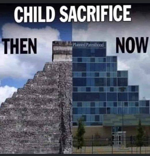 rabbitholebot tweet media