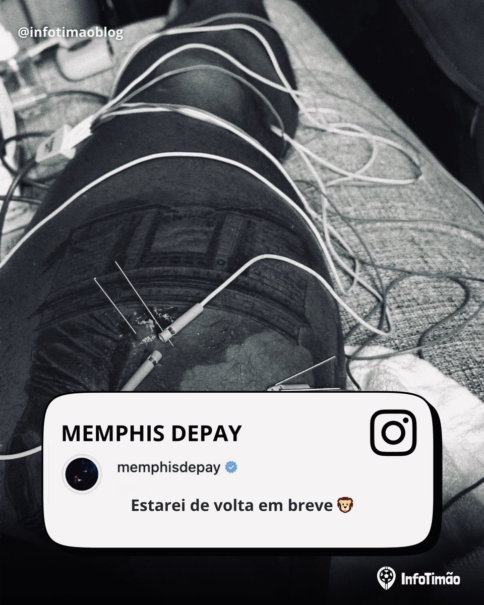 InfoTimão tweet media