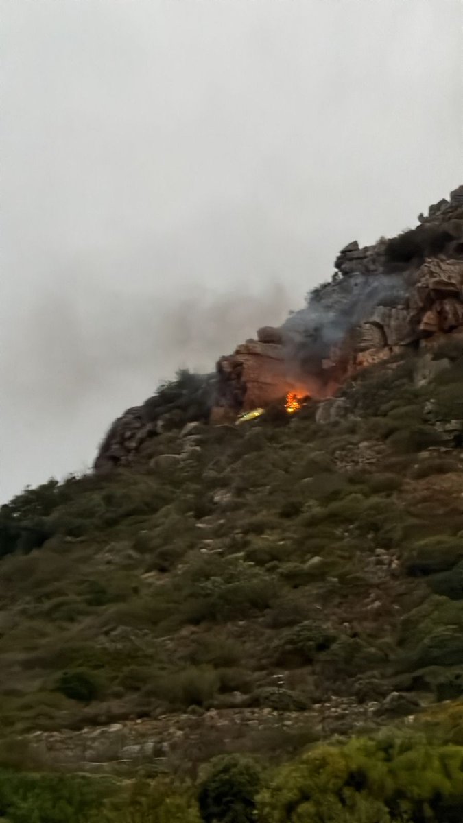 Dean Wingrin tweet media