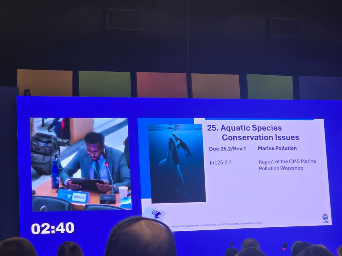 AbdirashidArteh's tweet photo. Brazil: The ongoing CMS COP15 is focusing on migratory species and biodiversity.

Somalia is actively participating, reaffirming its commitment to conservation and calling for stronger international cooperation.

#CMSCOP15 #Somalia #MigratorySpecies https://t.co/d1imbdvew4