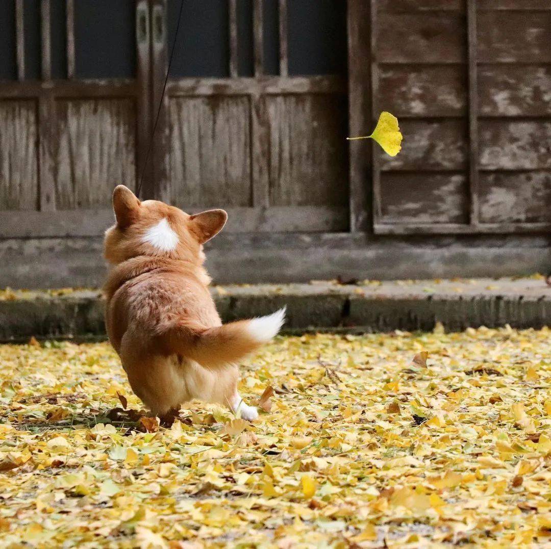 Alyssa Pierce tweet media