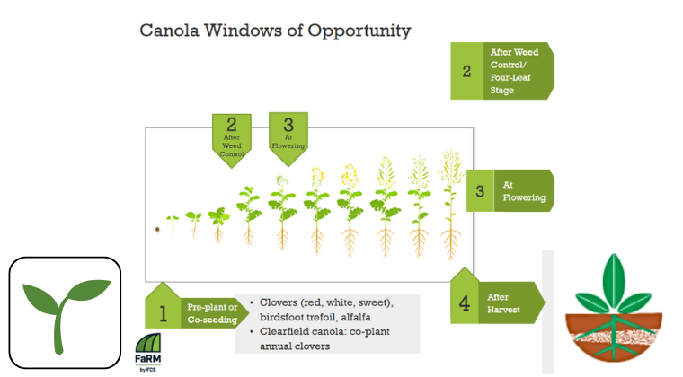 SaskSoil tweet media