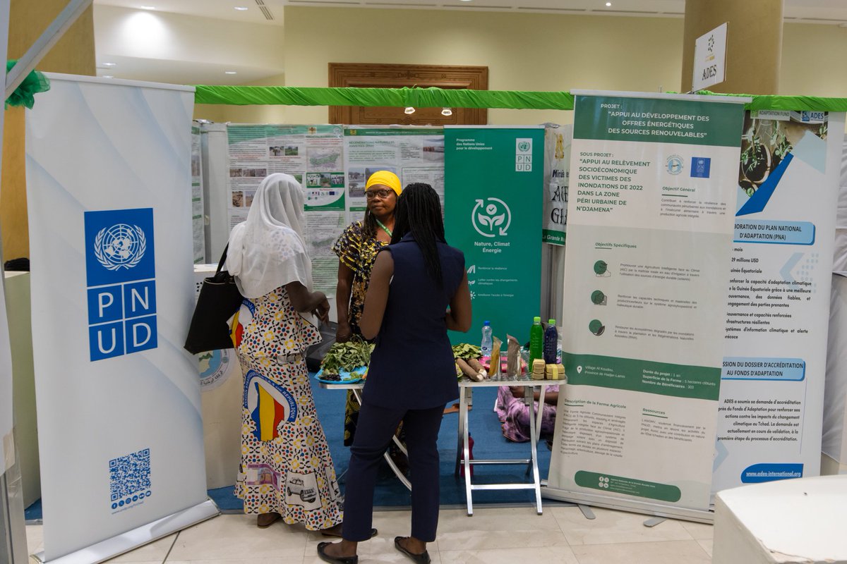 PNUD TCHAD tweet media