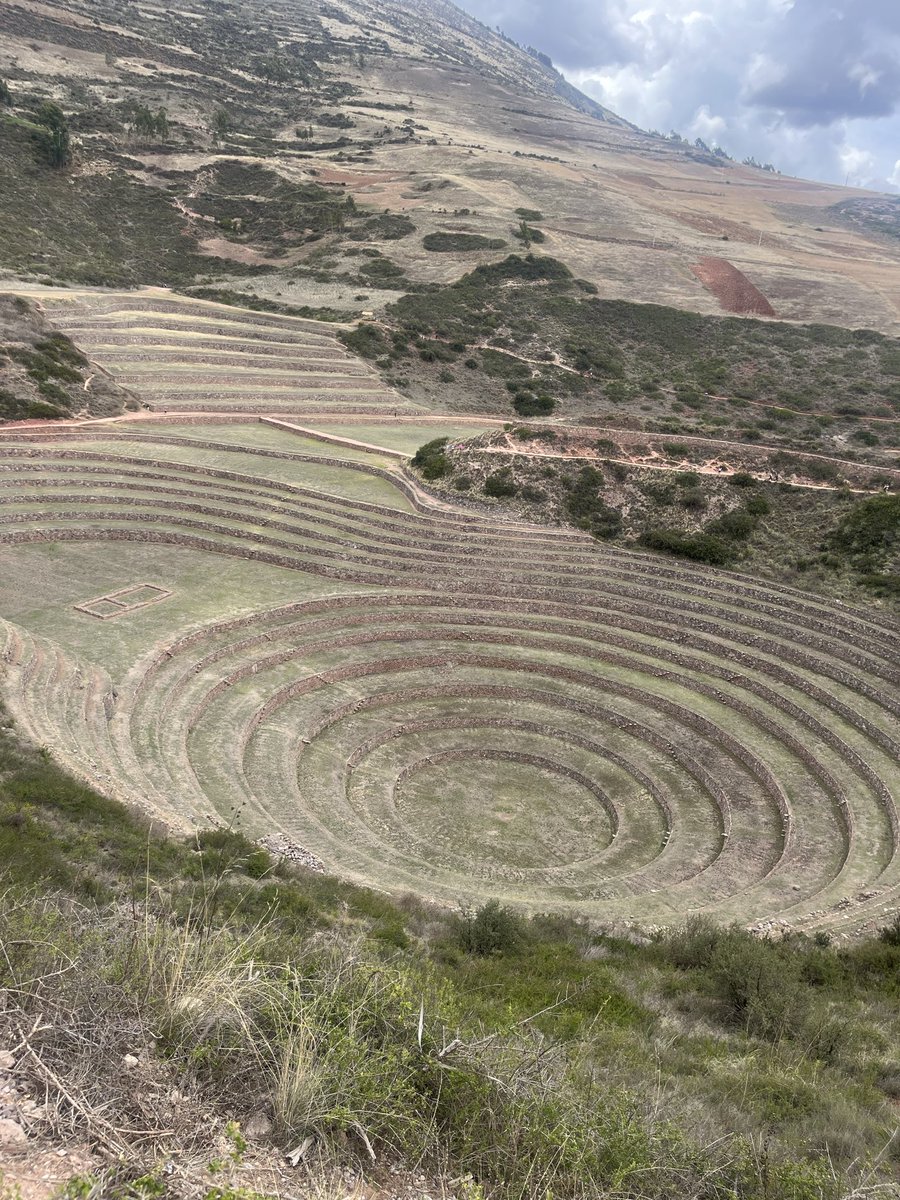 Graeme Lamperson tweet media