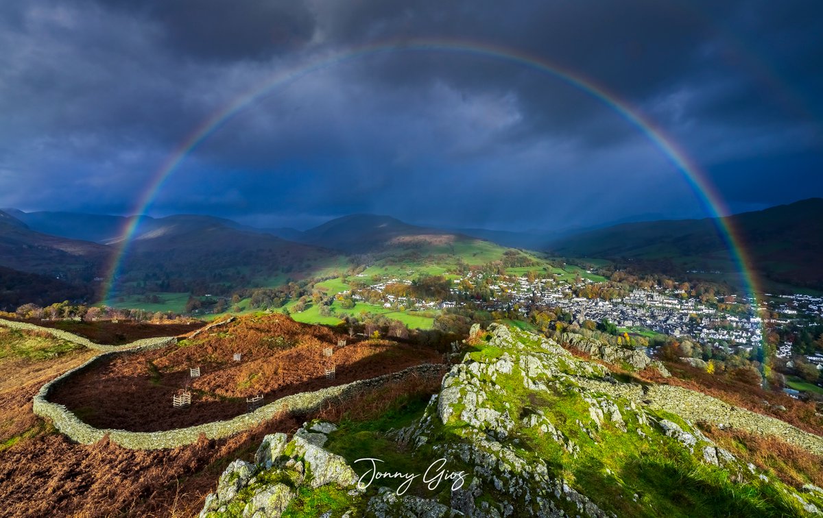 Jonny Gios tweet media