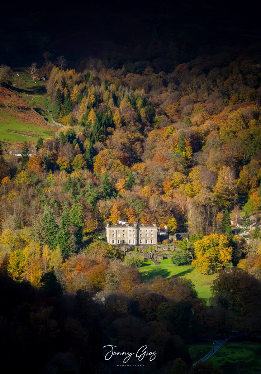 Jonny Gios tweet media