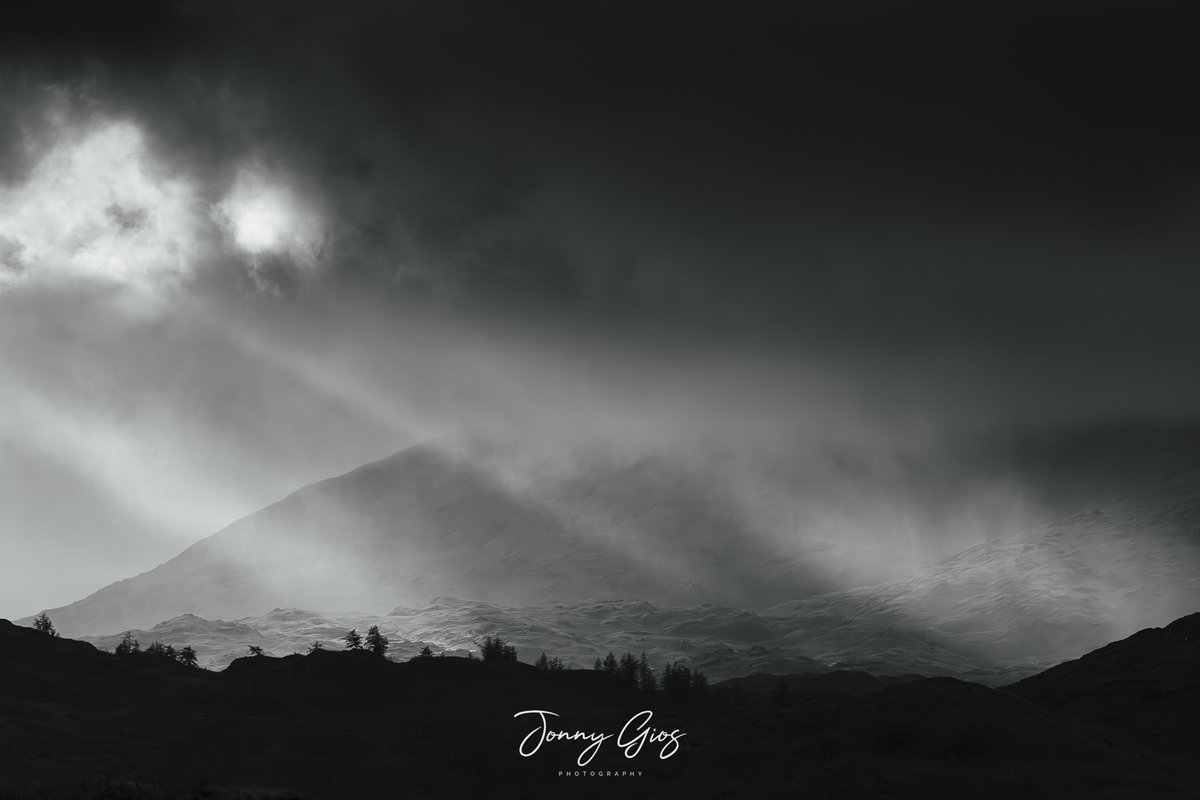 Jonny Gios tweet media