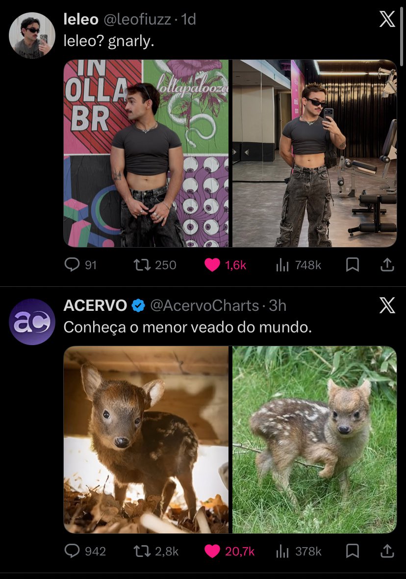 bruninho tweet media
