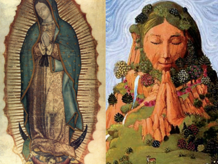 Stephen Kokx tweet media