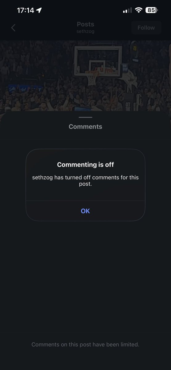 tamara⁷ tweet media