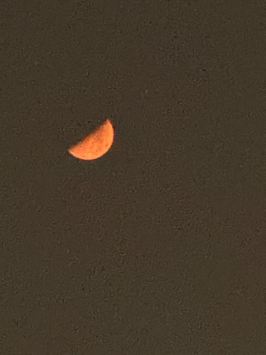 Nine France 🌼 tweet media