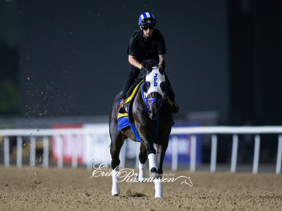 Erika R. Photography tweet media