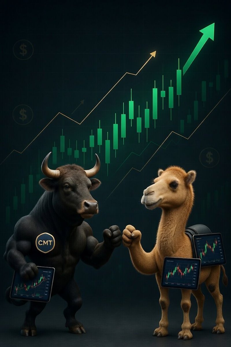 Camel Finance YT ⚡️ tweet media