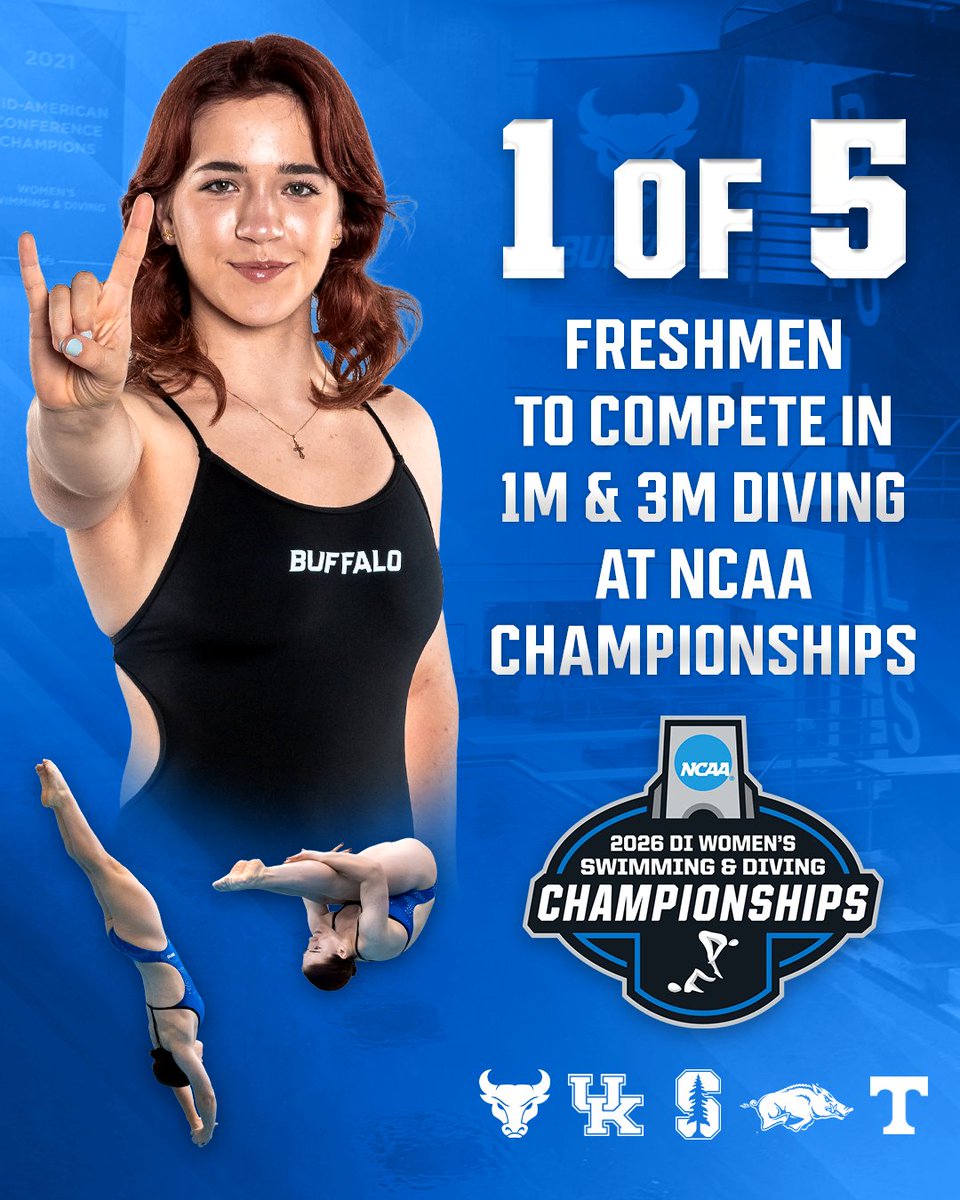 UBuffaloSD's tweet photo. Adele Melamud was 1 of 5 freshmen divers to compete in the one-meter and three-meter events at NCAA Championships, representing the MAC alongside the SEC and ACC!

#UBhornsUP https://t.co/UTZjDC9J70