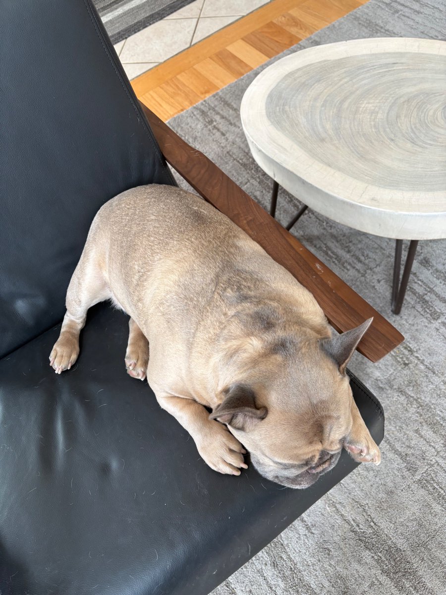 JS DEF LEPPARD FAN FOR LIFE tweet media