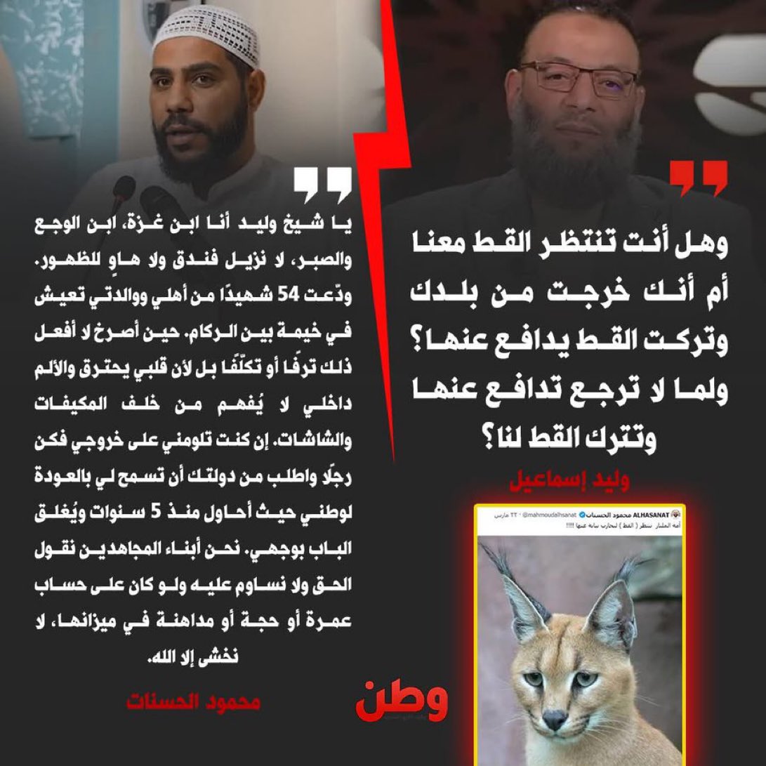 Dina ⚜️ tweet media