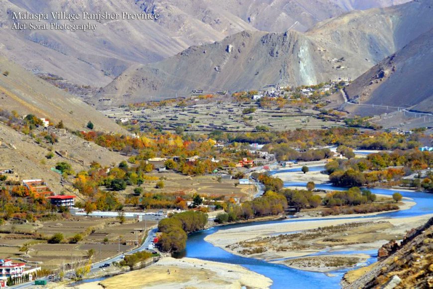 W.A. Mubariz - وکیل احمد مبارز tweet media