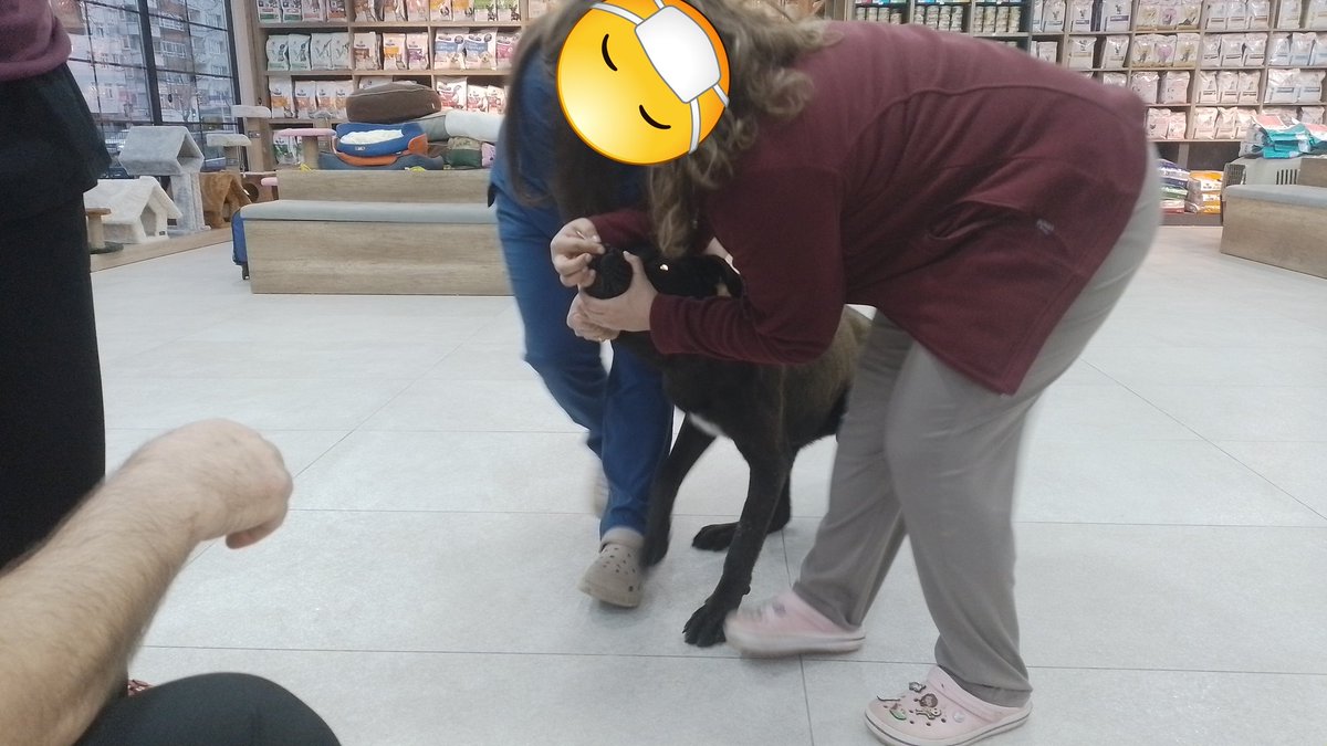 Evren Atakan Civan tweet media