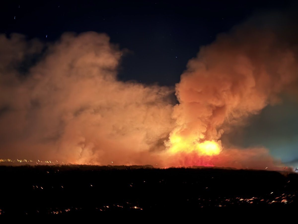 New Mexico Forestry Division tweet media