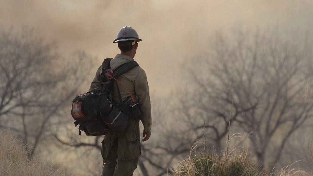 New Mexico Forestry Division tweet media