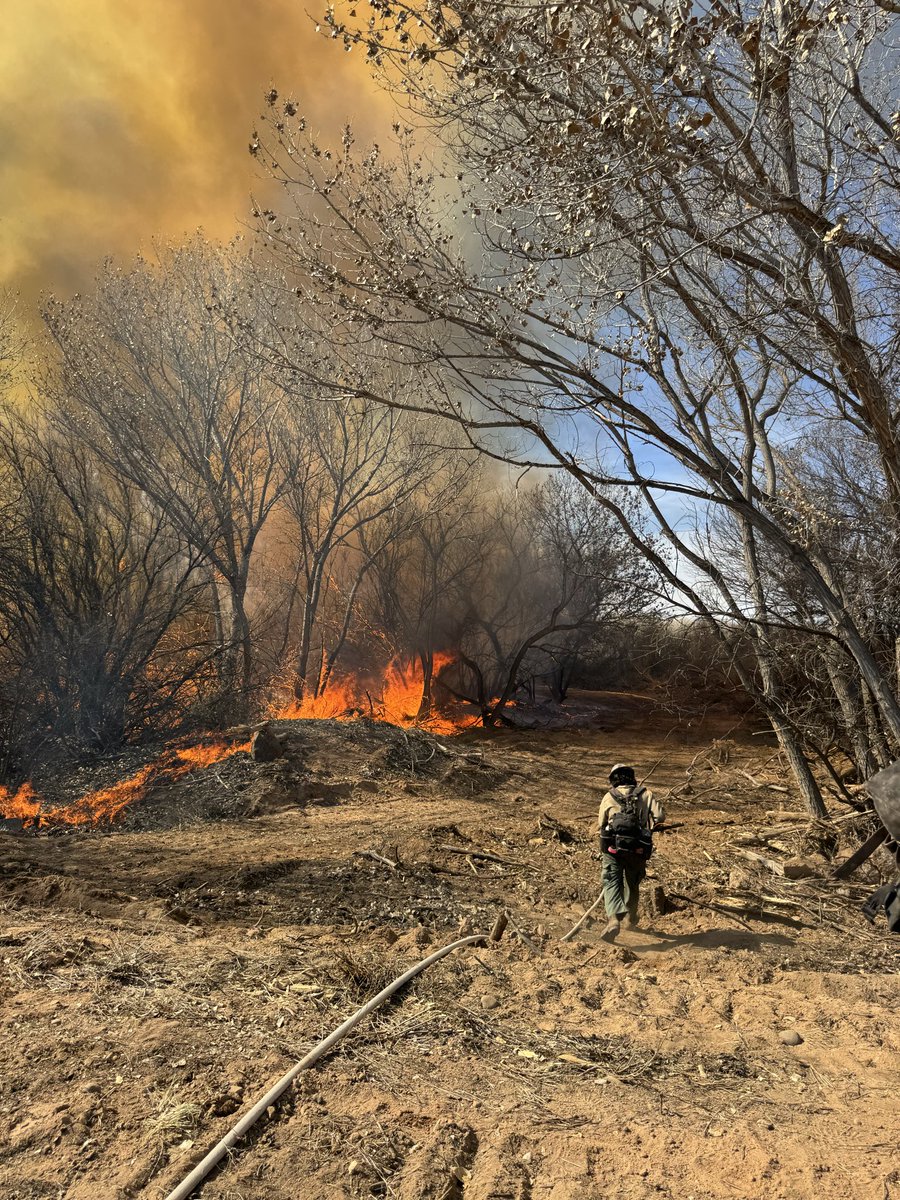 New Mexico Forestry Division tweet media