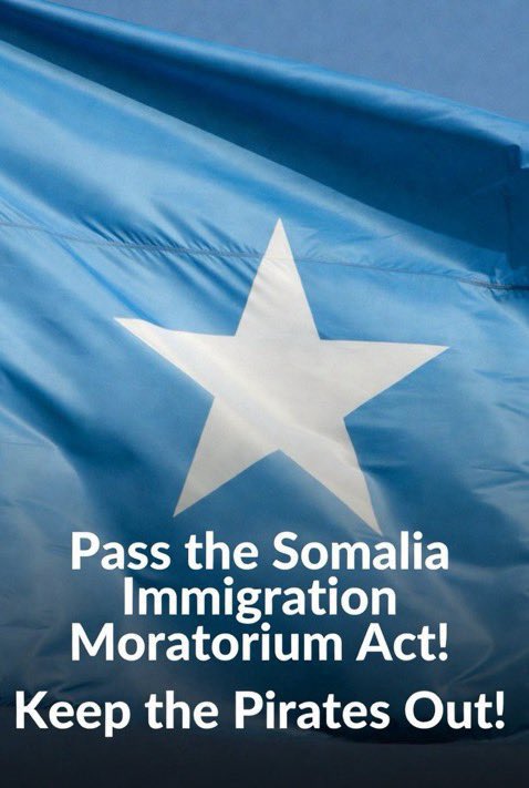 Mike Dailey tweet media