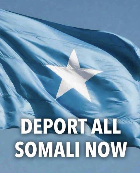 Mike Dailey tweet media