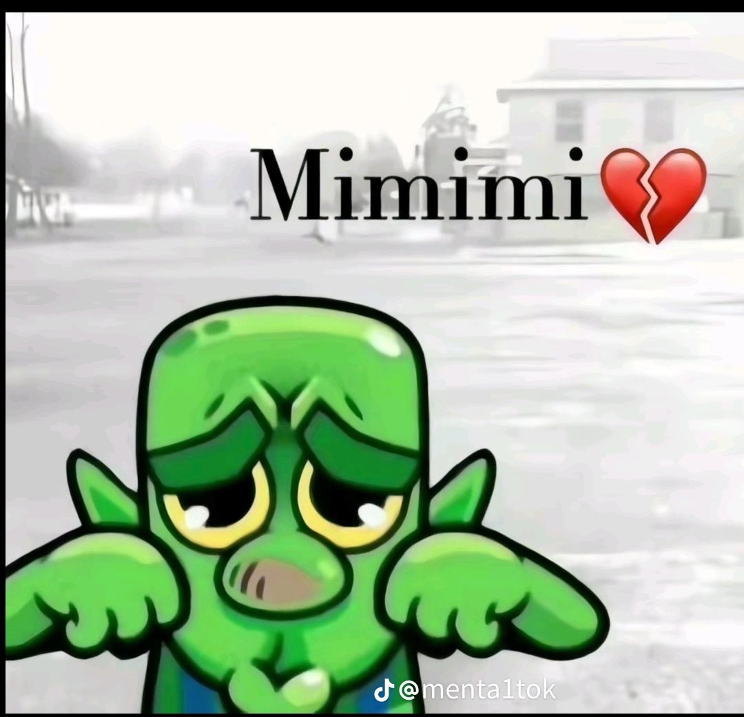 El tapisvert 🇲🇦🇲🇦 tweet media