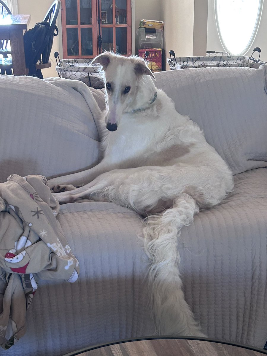 Dani ||-// tweet media